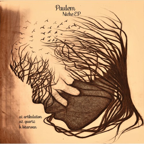 Paulem - Niche EP [VSA005]